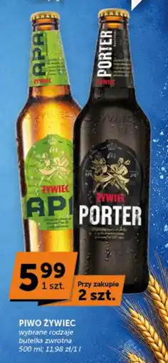 Groszek Piwo Żywiec wybrane rodzaje oferta