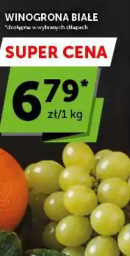 Groszek Winogrona Białe oferta