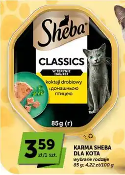 Groszek Karma Sheba dla kota oferta
