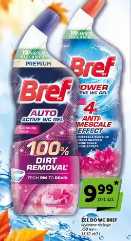 Groszek Żel do WC Bref wybrane rodzaje oferta