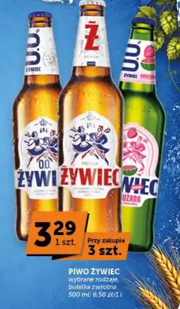 Groszek Piwo Żywiec wybrane rodzaje oferta