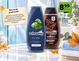 Groszek Szampon do włosów Schauma oferta