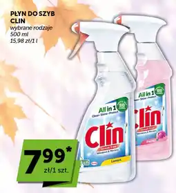 Groszek Płyn do szyb Clin oferta