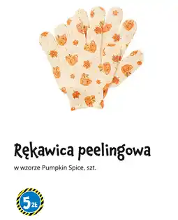 Tedi Rękawica peelingowa we wzorze Pumpkin Spice oferta