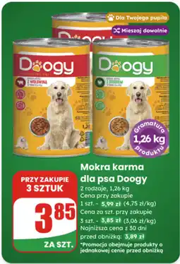 Dino Doogy Mokra karma dla psa oferta