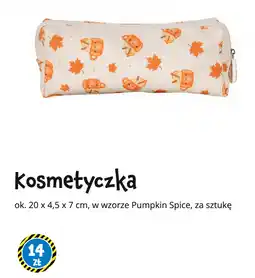 Tedi Kosmetyczka we wzorze Pumpkin Spice oferta