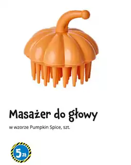 Tedi Masażer do głowy we wzorze Pumpkin Spice oferta
