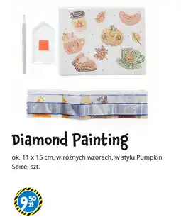 Tedi Diamond Painting oferta