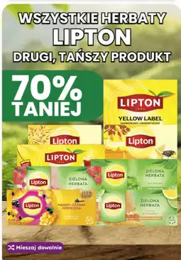 Dino Herbaty Lipton oferta