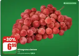Dino Winogrono ciemne oferta