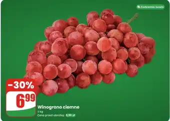 Dino Winogrono ciemne oferta