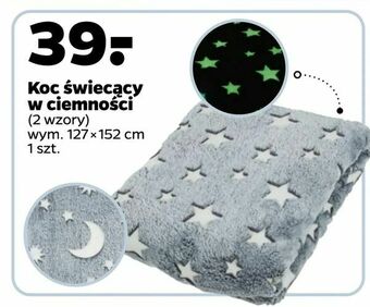 Netto Koc świecący w ciemności oferta