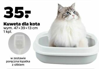 Netto Kuweta dla kota oferta