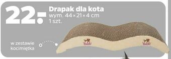 Netto Drapak dla kota oferta