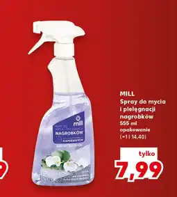 Kaufland Spray do nagrobków mill oferta
