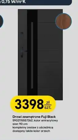Castorama Drzwi zewnętrzne Fuji oferta