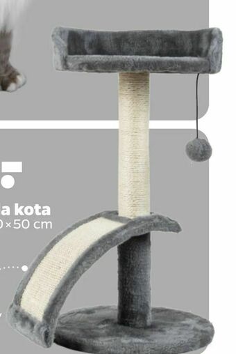 Netto Drapak dla kota oferta