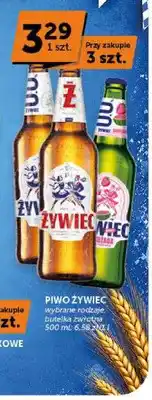 ABC Piwo Żywiec oferta