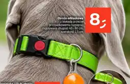 Dealz Obroża One oferta