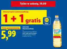 Lidl Olej VITA D'OR oferta