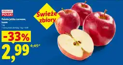 Lidl Jabłka Polski oferta
