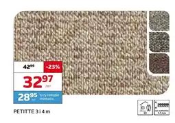 Komfort Wykładzina dywanowa Petitte 3 m oferta