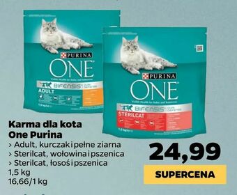 Netto Karma dla kota One Purina oferta