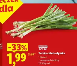 Lidl Cebula dymka Polski oferta