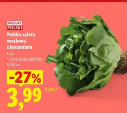 Lidl Sałata masłowa Polski oferta