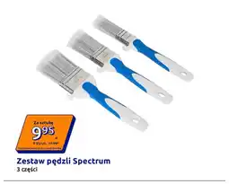 Action Zestaw pędzli Spectrum 3 części oferta