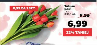 Netto Tulipan oferta