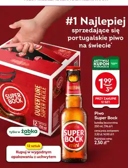 Żabka Piwo Super Bock oferta