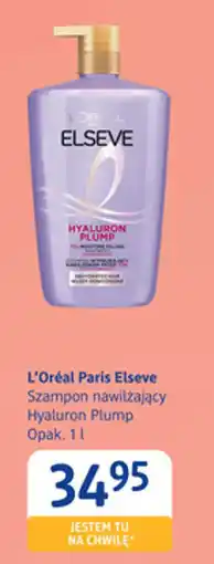 dm drogerie markt L'Oréal Paris Elseve Szampon nawilżający Hyaluron Plump oferta