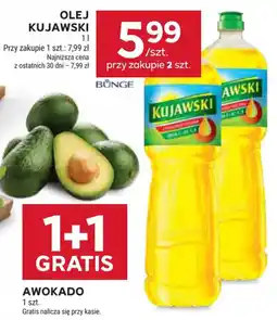 Stokrotka Olej Kujawski oferta