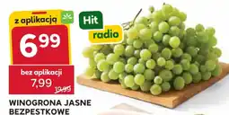 Stokrotka Winogrona Jasne Bezpestkowe oferta
