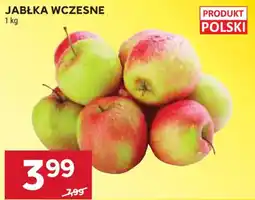 Stokrotka Jabłka Wczesne oferta