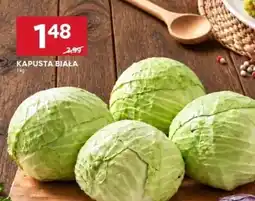 Stokrotka Kapusta Biała oferta