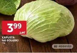 Stokrotka Kapusta na Gołąbki oferta