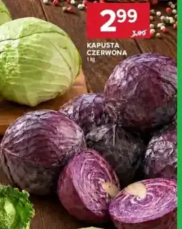 Stokrotka Kapusta Czerwona oferta