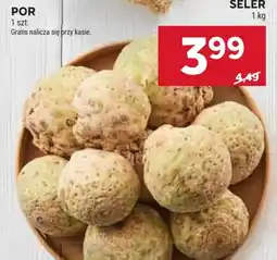 Stokrotka Seler oferta