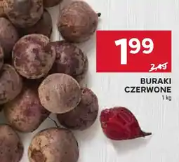 Stokrotka Buraki Czerwone oferta