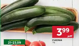Stokrotka Cukinia oferta