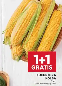 Stokrotka Kukurydza Kolba oferta