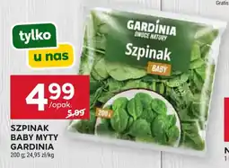 Stokrotka Szpinak Baby Myty Gardinia oferta