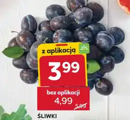 Stokrotka ŚLIWKI oferta
