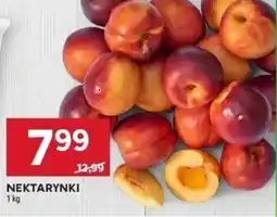 Stokrotka Nektarynki oferta