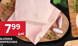 Stokrotka ŚLONINA WIEPRZOWA oferta