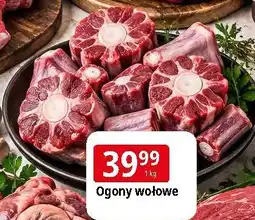 E.Leclerc Ogony wołowe oferta