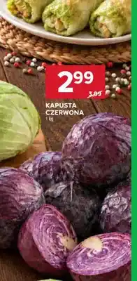 Stokrotka Kapusta czerwona oferta