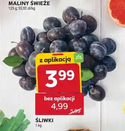Stokrotka Śliwki oferta